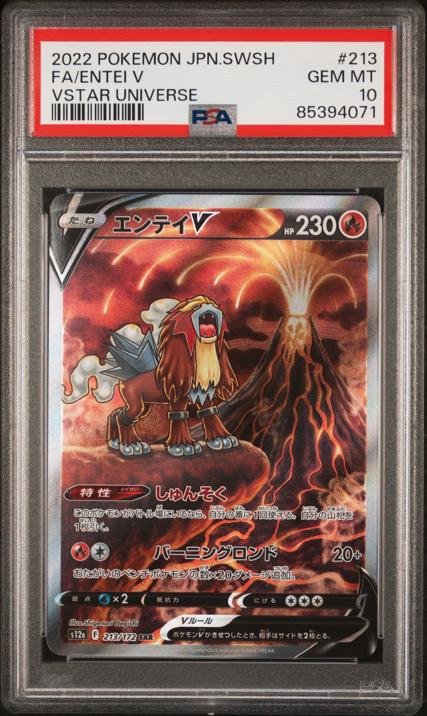PSA 10 Full Art/entei V #213 · Sword & Shield Vstar Universe (Japanese) · 2022 — front