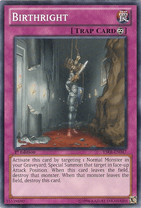 1st Edition, Common, Continuous Trap, Starter Deck: Kaiba Reloaded, Trap, Unlimited Birthright [YSKR-EN047] Common - Trading Card World