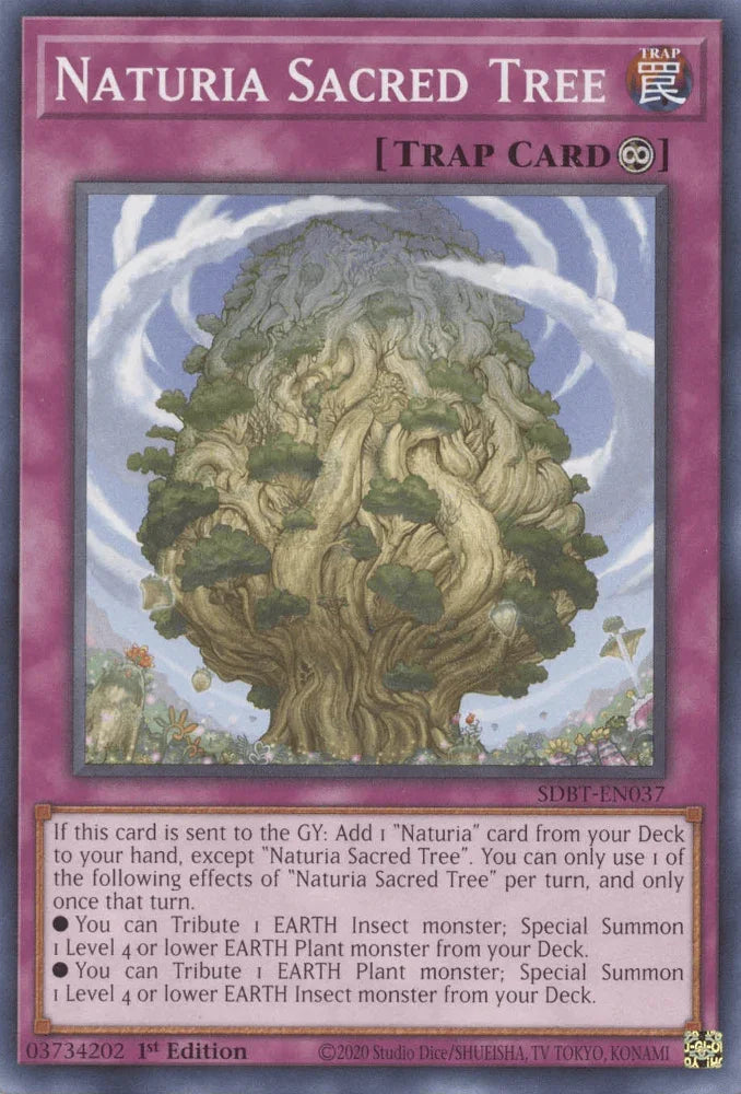 1st Edition, Common, Continuous Trap, Structure Deck: Beware of Traptrix, Trap Naturia Sacred Tree [SDBT-EN037] Common - Trading Card World