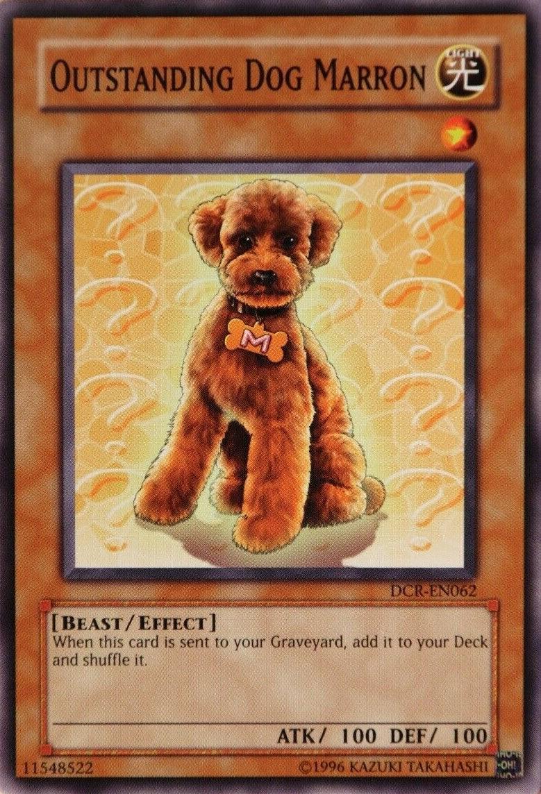 Beast, Common, Dark Crisis, Effect Monster, Light, Unlimited Outstanding Dog Marron [DCR-EN062] Common - Trading Card World