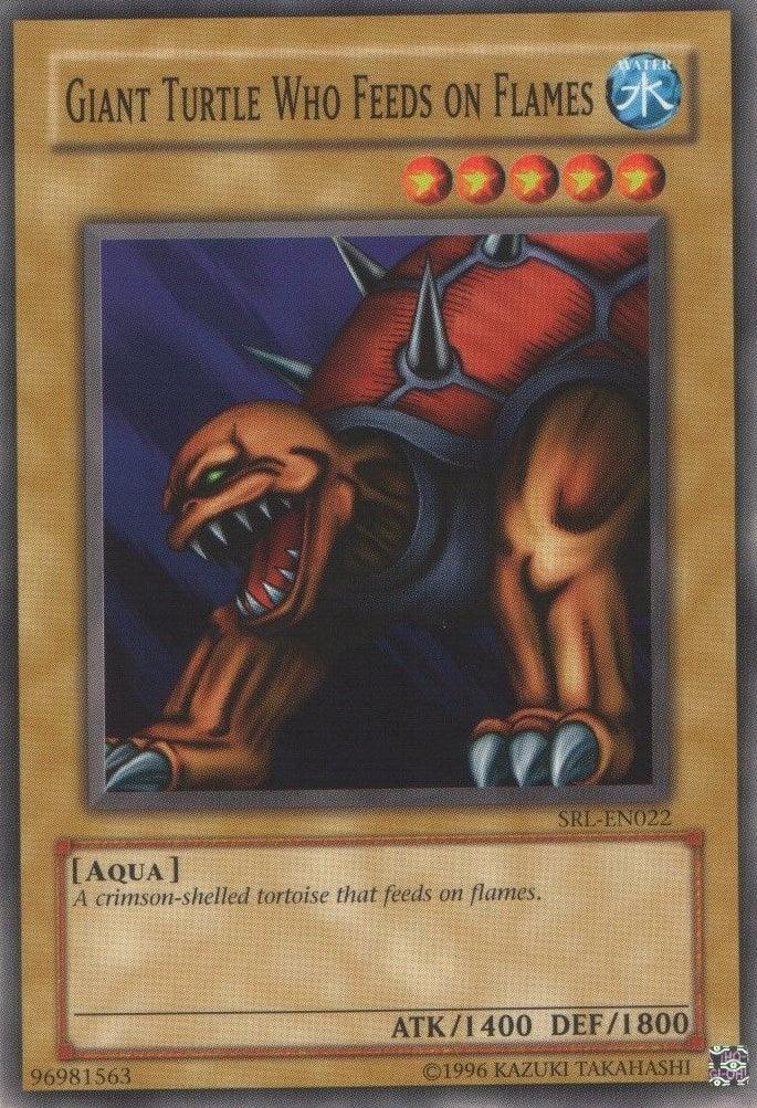 Aqua, Common, Normal Monster, Spell Ruler, Unlimited, Water Giant Turtle Who Feeds on Flames [SRL-EN022] Common - Trading Card World