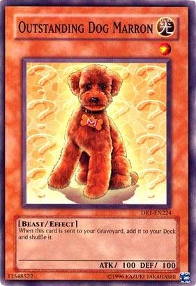 Beast, Common, Dark Revelation Volume 1, Effect Monster, Light, Unlimited Outstanding Dog Marron [DR1-EN224] Common - Trading Card World