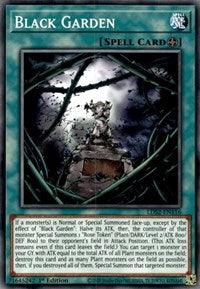 1st Edition, Common, Field Spell, Legendary Duelists: Season 2, Spell Black Garden [LDS2-EN116] Common - Trading Card World