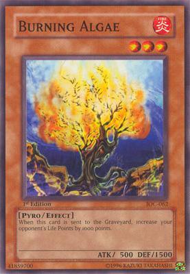 1st Edition, Common, Effect Monster, Fire, Invasion of Chaos, Pyro, Unlimited Burning Algae [IOC-062] Common - Trading Card World
