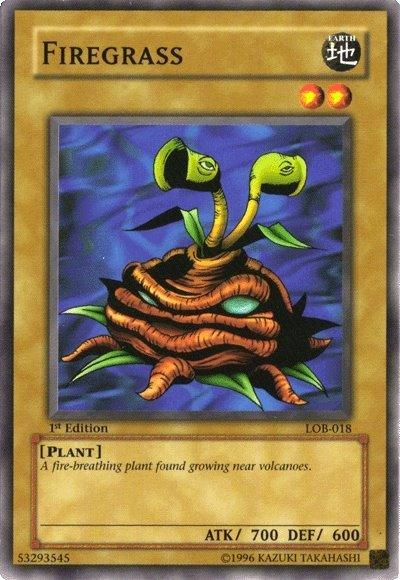 1st Edition, Common, Earth, Normal Monster, Plant, The Legend of Blue Eyes White Dragon, Unlimited Firegrass [LOB-018] Common - Trading Card World