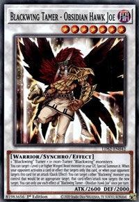 1st Edition, Common, Dark, Legendary Duelists: Season 2, Synchro/Effect Monster, Warrior Blackwing Tamer - Obsidian Hawk Joe [LDS2-EN042] Common - Trading Card World