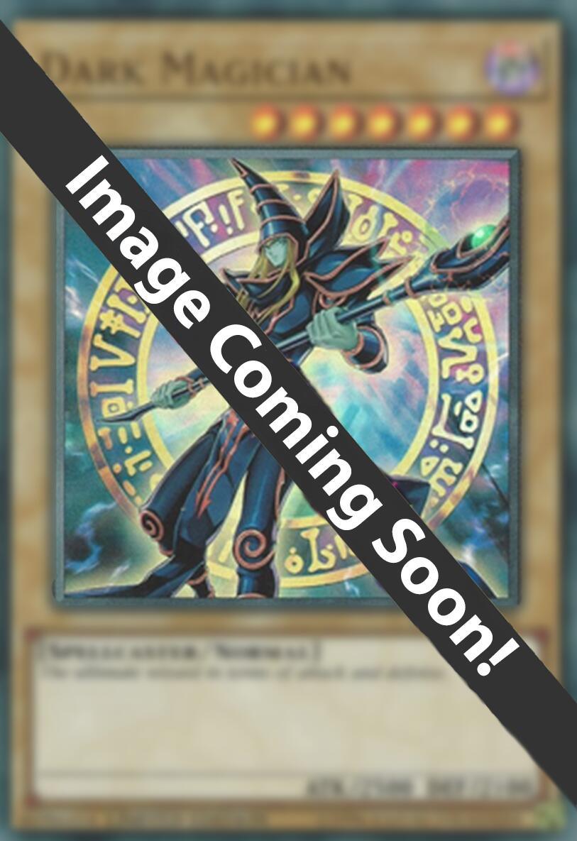 1st Edition, Dark, Normal Monster, Platinum Secret Rare, Quarter Century Stampede Dark Magician (8th Art) [RA04-EN106] Platinum Secret Rare - Trading Card World