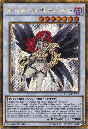 1st Edition, Dark, Gold Secret Rare, Premium Gold: Return of the Bling, Synchro/Effect Monster, Unlimited, Warrior Blackwing Tamer - Obsidian Hawk Joe [PGL2-EN012] Gold Secret Rare - Trading Card World
