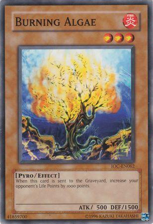 Common, Effect Monster, Fire, Invasion of Chaos, Pyro, Unlimited Burning Algae [IOC-EN062] Common - Trading Card World
