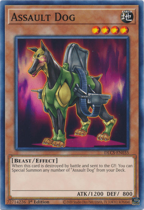 1st Edition, Common, Dragons of Legend: The Complete Series, Earth, Effect Monster Assault Dog [DLCS-EN035] Common - Trading Card World