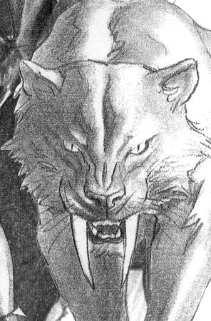 Black Cat #2 F 1:100 Alex Ross Timeless Virgin Sketch Variant (09/24/2025) Marvel