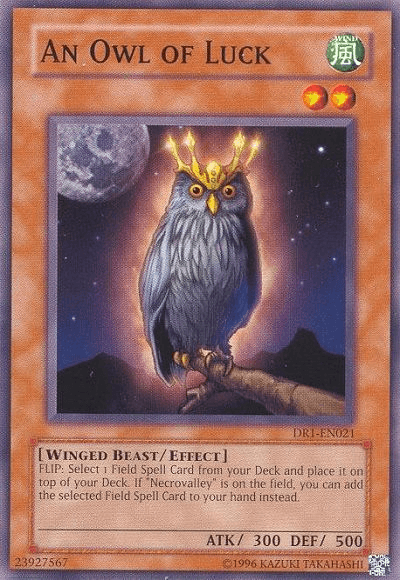 Common, Dark Revelation Volume 1, Effect Monster, Unlimited, Wind, Winged Beast An Owl of Luck [DR1-EN021] Common - Trading Card World