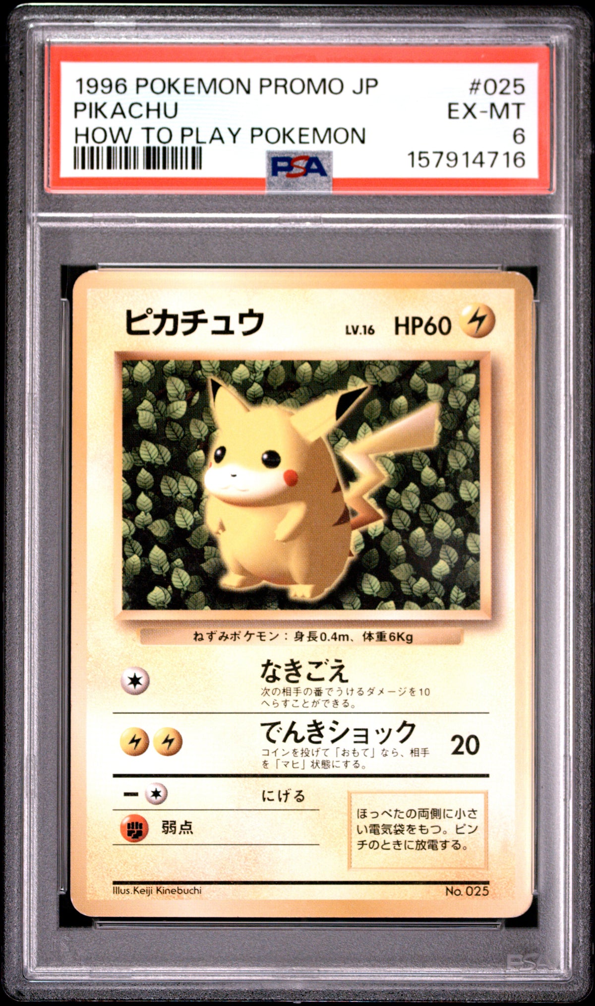 PSA 6 Pikachu How to Play Pokemon #025 · Promo (Japanese) · 1996 — front