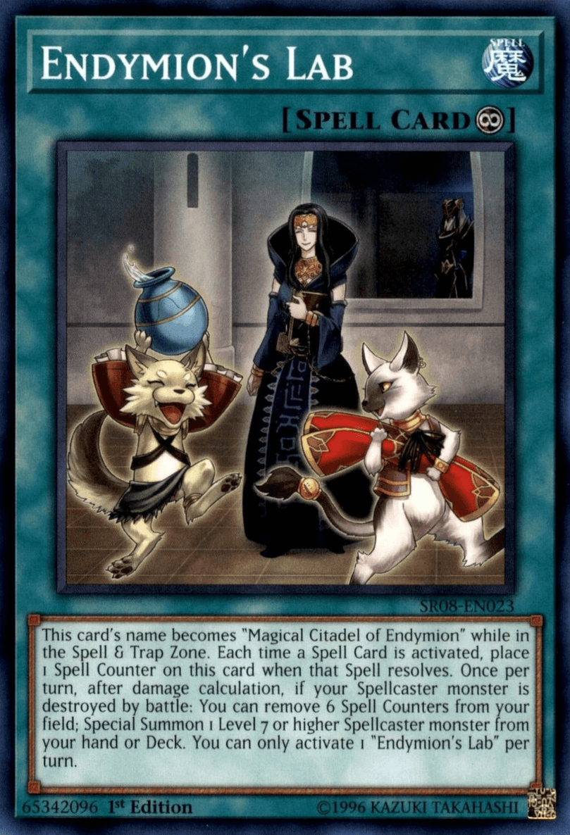 1st Edition, Common, Continuous Spell, Spell, Structure Deck: Order of the Spellcasters Endymion's Lab [SR08-EN023] Common - Trading Card World