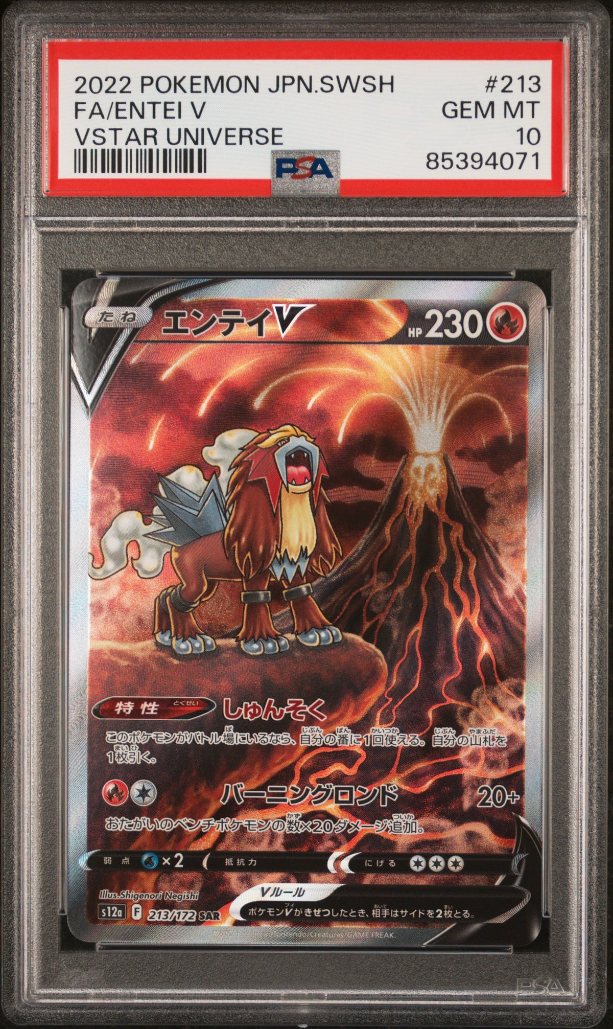 PSA 10 Full Art/entei V #213 · Sword & Shield Vstar Universe (Japanese) · 2022 — front