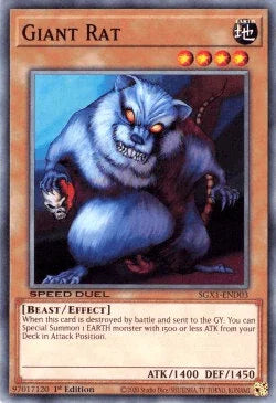 1st Edition, Beast, Common, Earth, Effect Monster, Speed Duel GX: Duel Academy Box Giant Rat [SGX1-END03] Common - Trading Card World