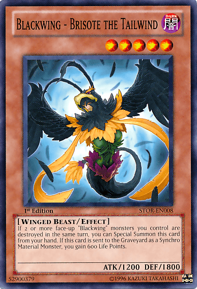 1st Edition, Common, Dark, Effect Monster, Storm of Ragnarok, Unlimited, Winged Beast Blackwing - Brisote the Tailwind [STOR-EN008] Common - Trading Card World