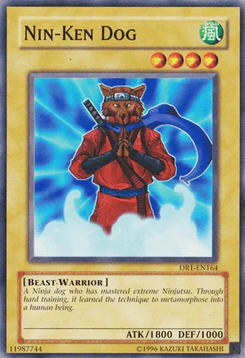 Beast-Warrior, Common, Dark Revelation Volume 1, Normal Monster, Unlimited, Wind Nin-Ken Dog [DR1-EN164] Common - Trading Card World