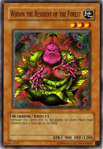 Common, Earth, Effect Monster, Tournament Pack 1, Unlimited, Warrior Wodan the Resident of the Forest [TP1-027] Common - Trading Card World
