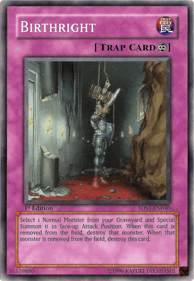1st Edition, 5D's Starter Deck 2008, Common, Normal Trap, Trap, Unlimited Birthright [5DS1-EN040] Common - Trading Card World