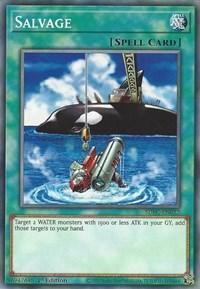 1st Edition, Common, Normal Spell, Spell, Structure Deck: Freezing Chains Salvage [SDFC-EN032] Common - Trading Card World