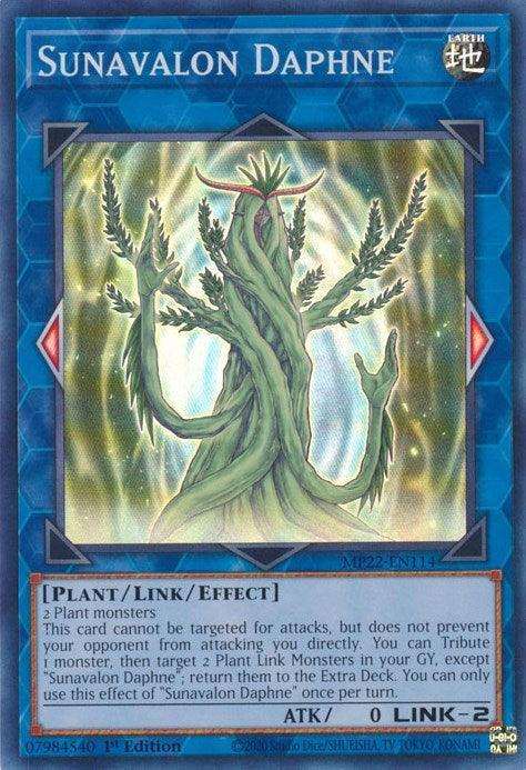 1st Edition, 2022 Tin of the Pharaoh's Gods, Earth, Link/Effect Monster, Plant, Super Rare Sunavalon Daphne [MP22-EN114] Super Rare - Trading Card World