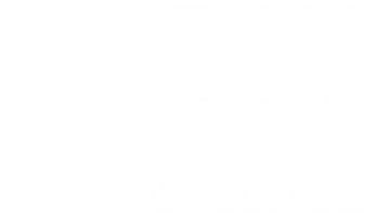 Trading Card World Wholesale