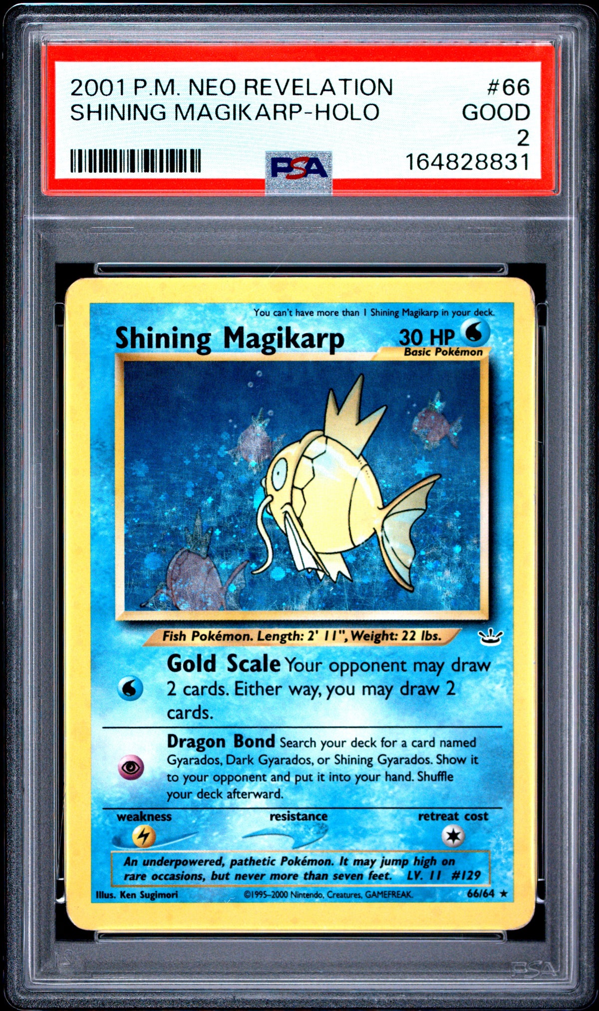 PSA 2 Shining Magikarp #66 · Neo Revelation · 2001 — front