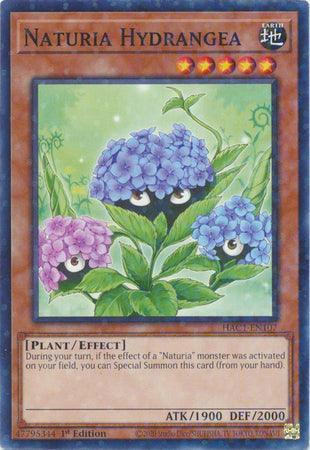 1st Edition, Common, Earth, Effect Monster, Hidden Arsenal: Chapter 1, Plant Naturia Hydrangea (Duel Terminal) [HAC1-EN107] Common - Trading Card World