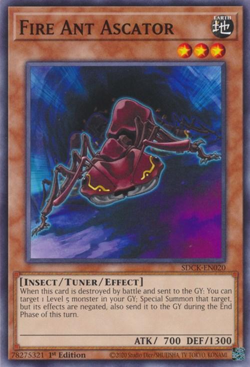 1st Edition, Common, Earth, Insect, Structure Deck: The Crimson King, Turner/Effect Monster Fire Ant Ascator [SDCK-EN020] Common - Trading Card World