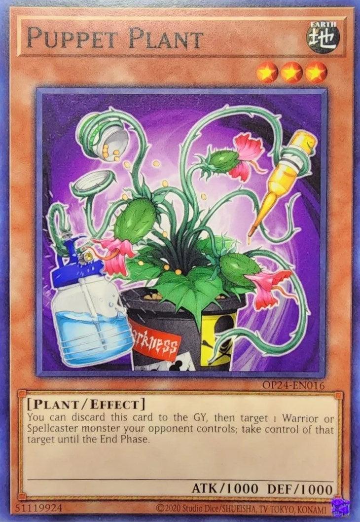 Common, Earth, Effect Monster, OTS Tournament Pack 24, Plant, Unlimited Puppet Plant [OP24-EN016] Common - Trading Card World