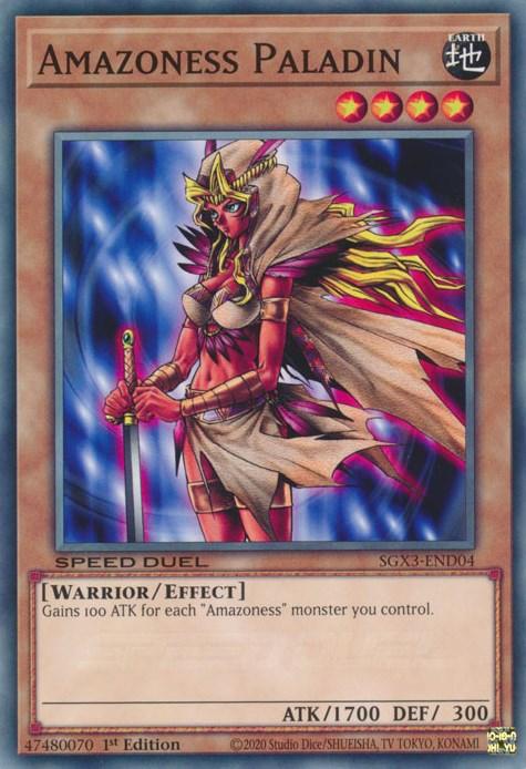 1st Edition, Common, Earth, Effect Monster, Speed Duel GX: Duelists of Shadows, Warrior Amazoness Paladin [SGX3-END04] Common - Trading Card World