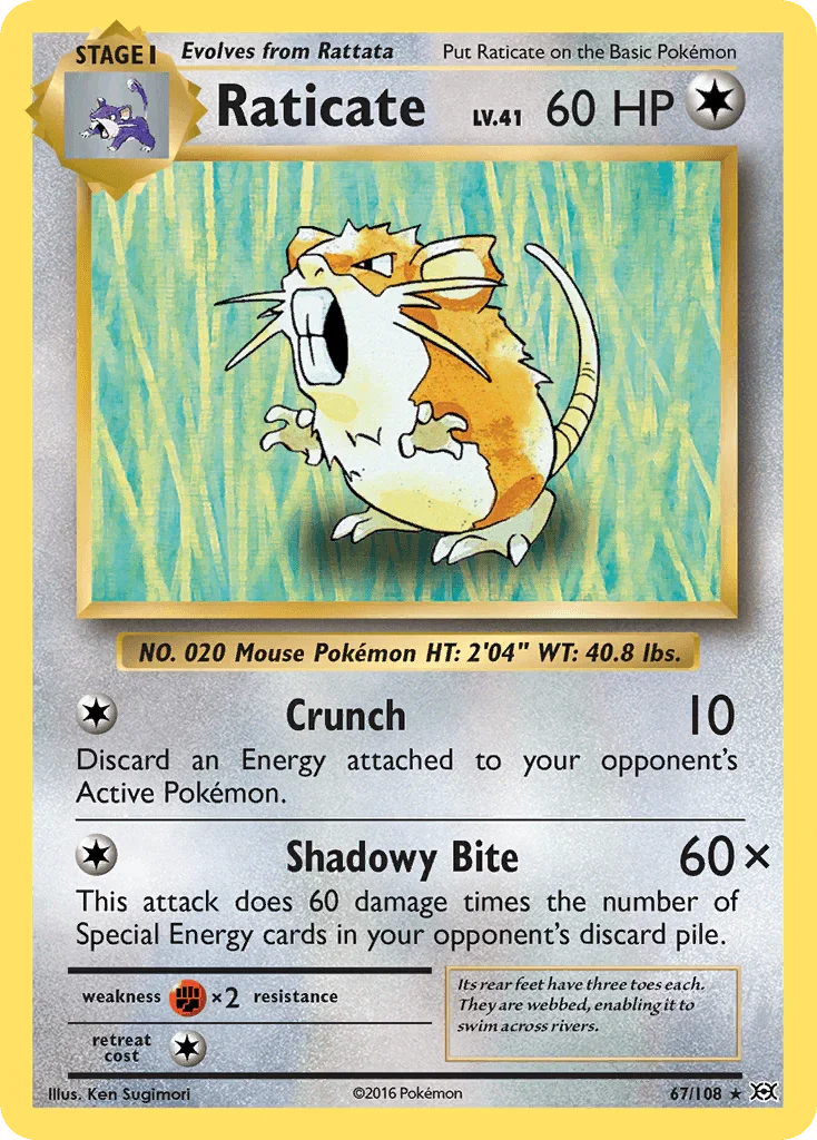 67, Colorless, Fighting[×2], Normal, Rare, Reverse Holofoil, XY: Evolutions Raticate (67/108) [XY: Evolutions] - Trading Card World