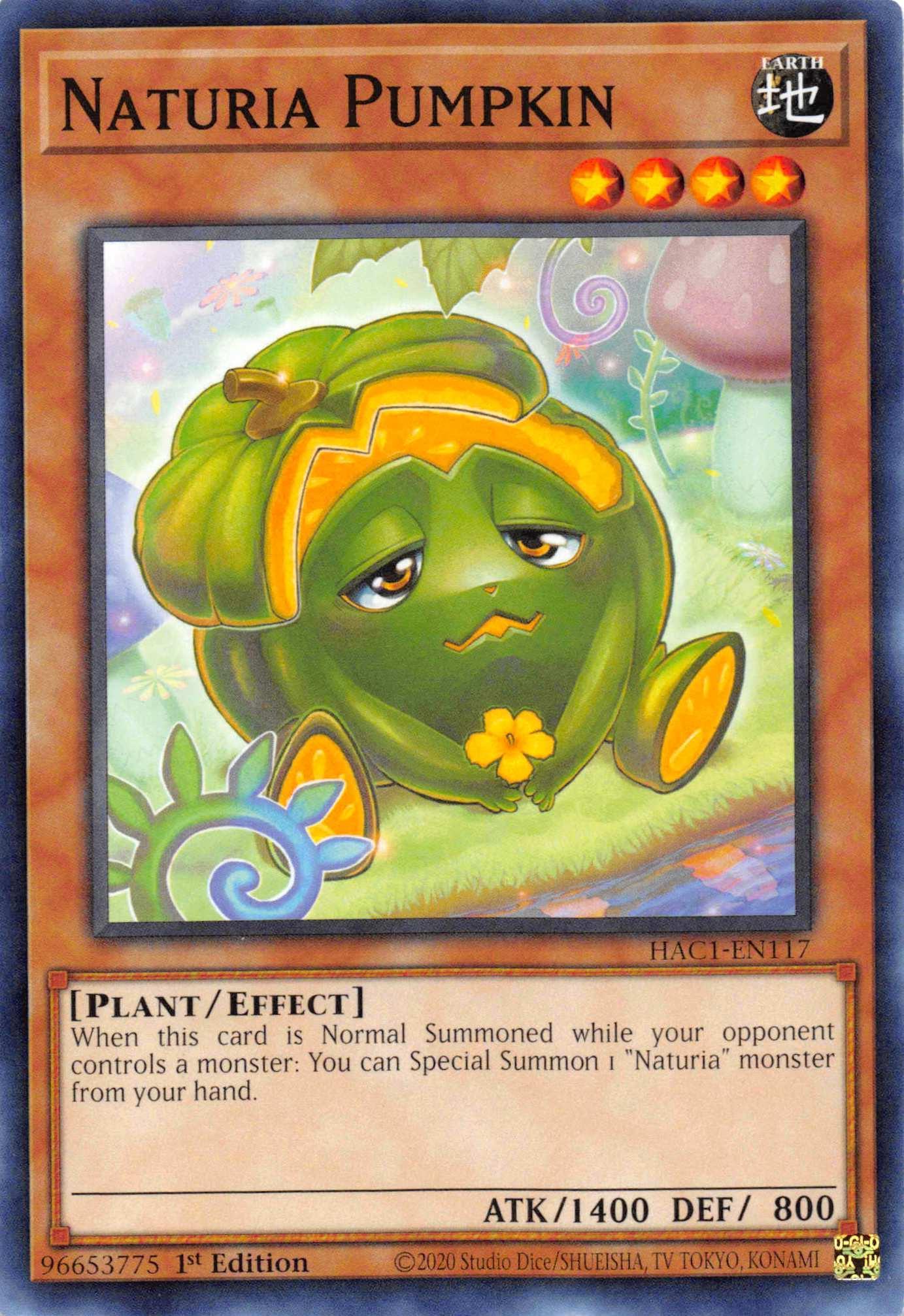 1st Edition, Earth, Effect Monster, Hidden Arsenal: Chapter 1, Parallel Rare, Plant Naturia Pumpkin (Duel Terminal) [HAC1-EN117] Parallel Rare - Trading Card World