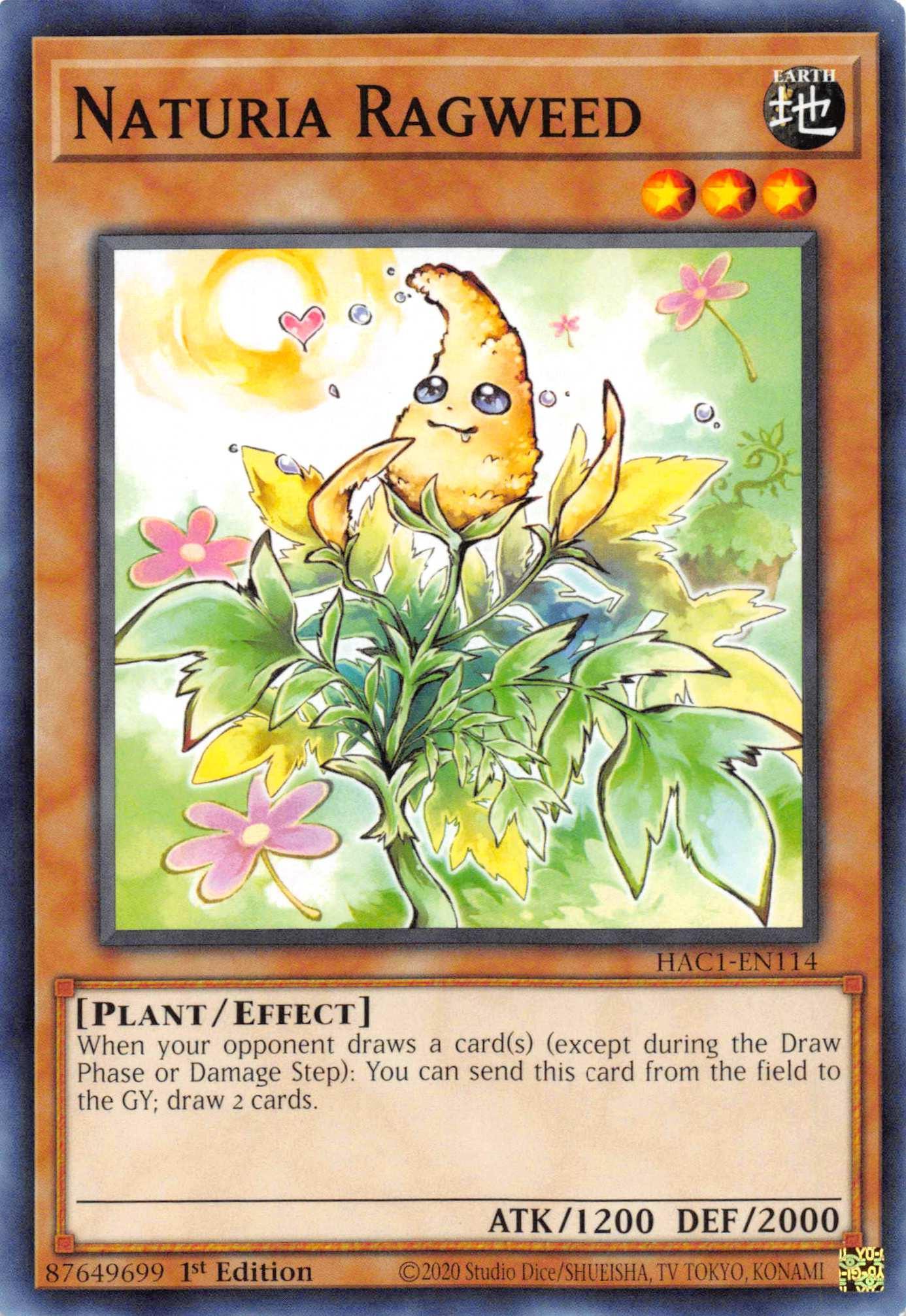 1st Edition, Common, Earth, Effect Monster, Hidden Arsenal: Chapter 1, Plant Naturia Ragweed [HAC1-EN114] Common - Trading Card World