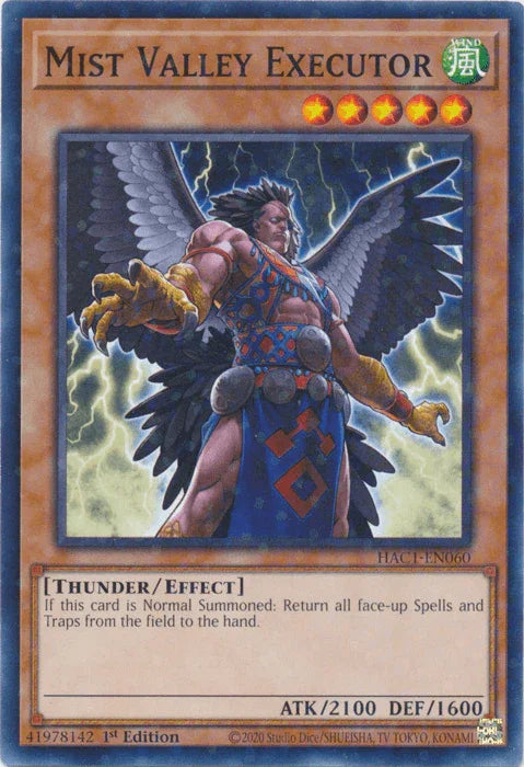 1st Edition, Common, Effect Monster, Hidden Arsenal: Chapter 1, Thunder, Wind Mist Valley Executor (Duel Terminal) [HAC1-EN060] Common - Trading Card World