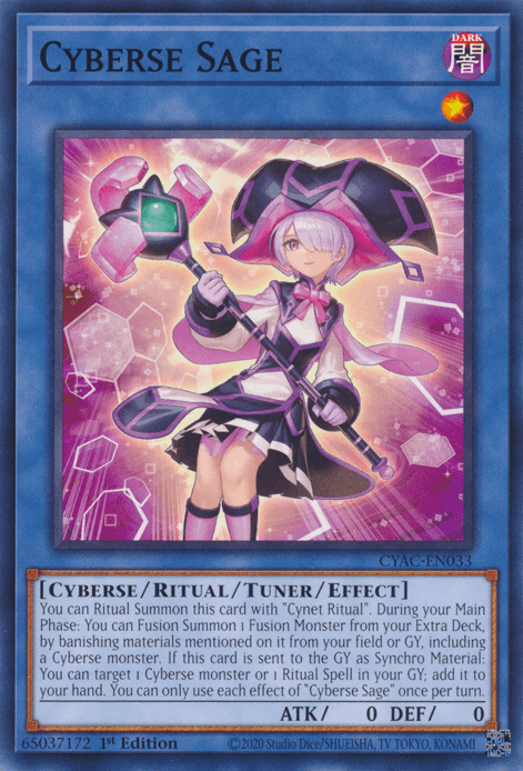 1st Edition, Common, Cyberse, Cyberstorm Access, Dark, Tuner/Ritual/Effect Monster Cyberse Sage [CYAC-EN033] Common - Trading Card World