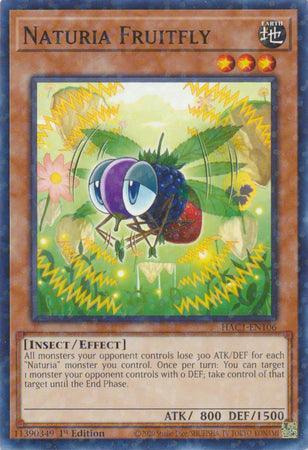 1st Edition, Common, Earth, Effect Monster, Hidden Arsenal: Chapter 1, Insect Naturia Fruitfly (Duel Terminal) [HAC1-EN106] Common - Trading Card World