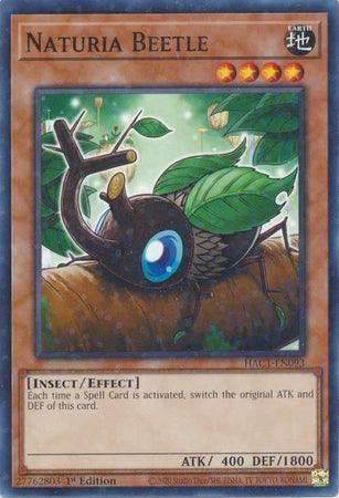 1st Edition, Common, Earth, Effect Monster, Hidden Arsenal: Chapter 1, Insect Naturia Beetle (Duel Terminal) [HAC1-EN093] Common - Trading Card World